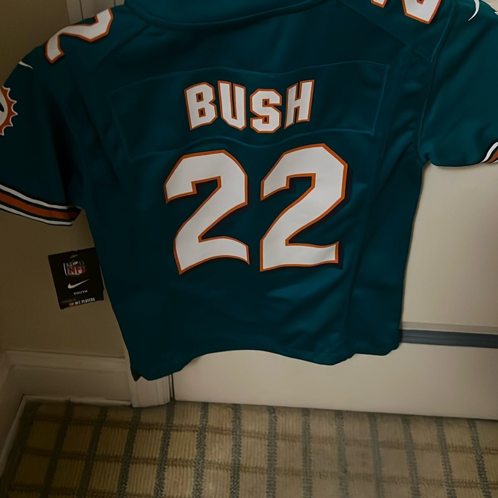 Reggie Bush Miami dolphins jersey